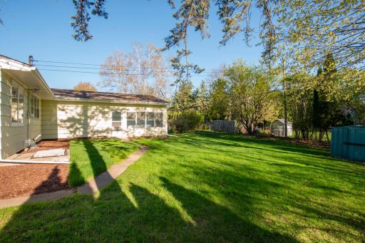 Tons of green space for yard games or allowing kids and pets to run and play!