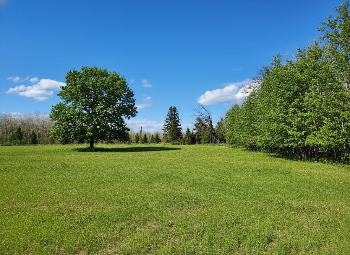 Lovely Land