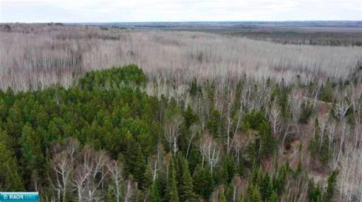 TBD Parcel 19 Hwy 115, Tower, MN 55790