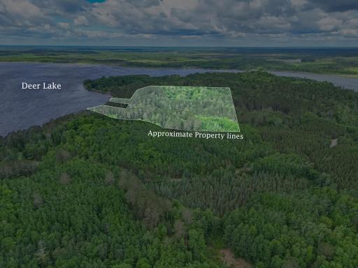 66561 Bayview Road, Effie, MN 56639