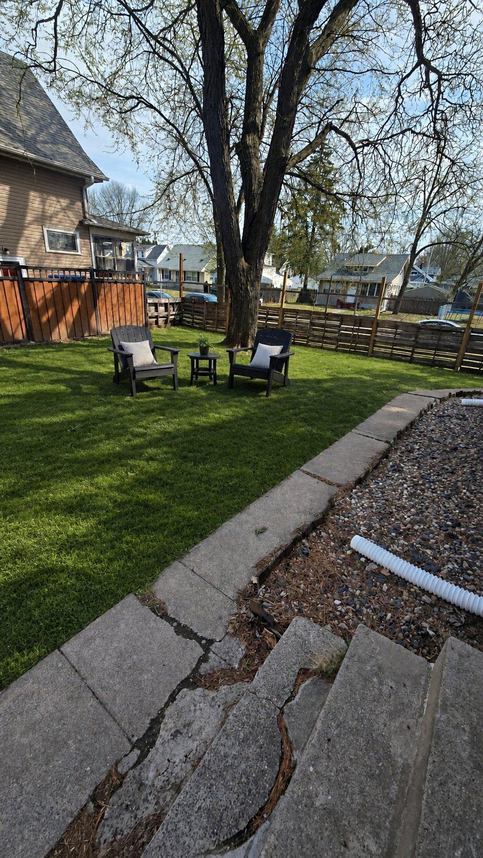 backyard front view.jpg