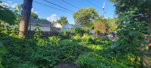Garden.jpg