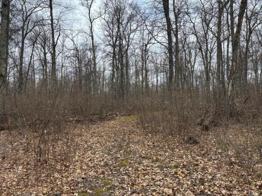 51839 Lake Avenue, Mcgregor, MN 55760