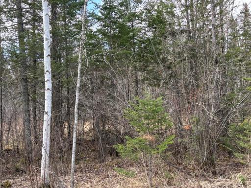 5358 E Four Corners Road, Cromwell, MN 55726