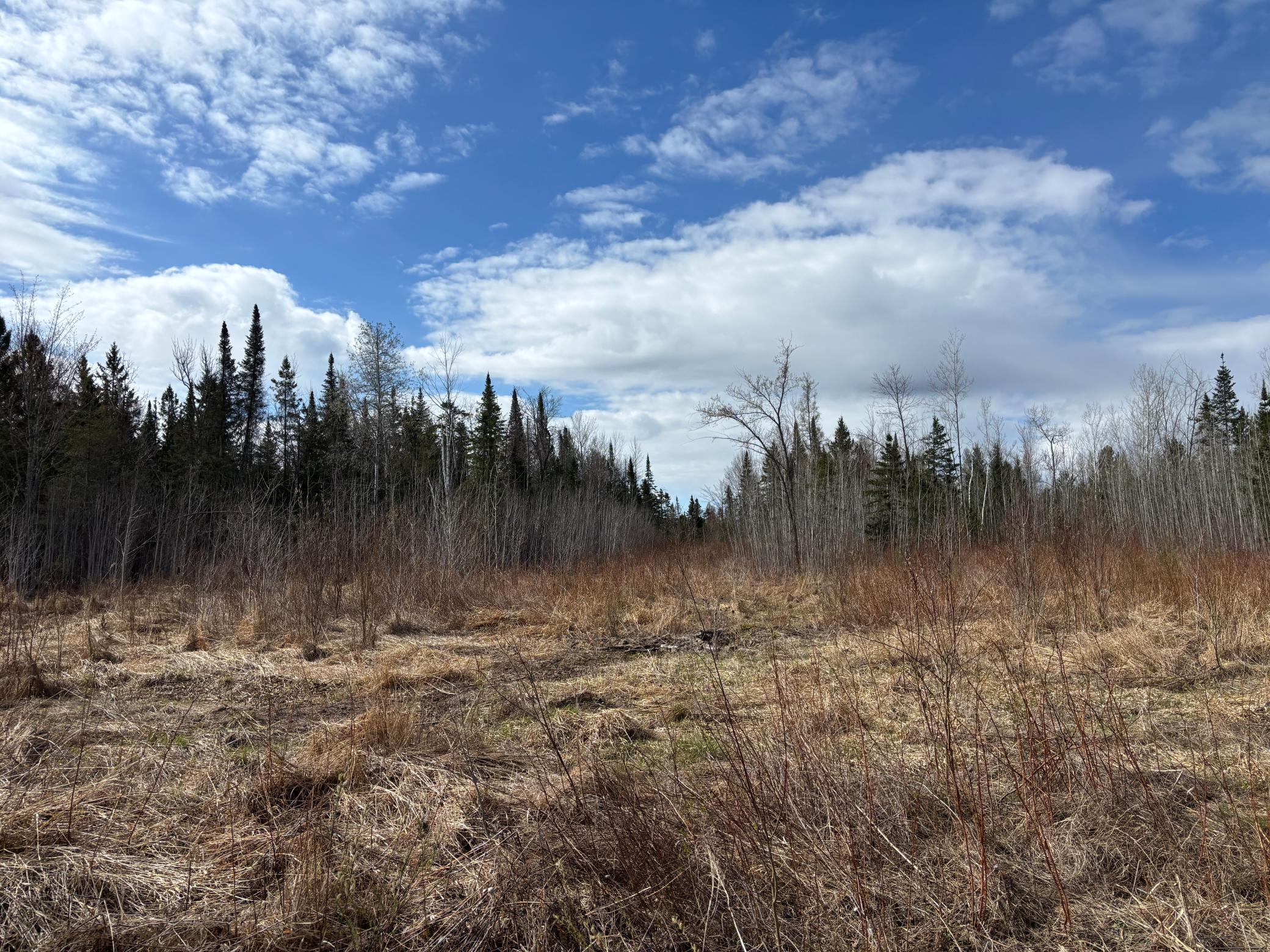 Cleared area roadside.