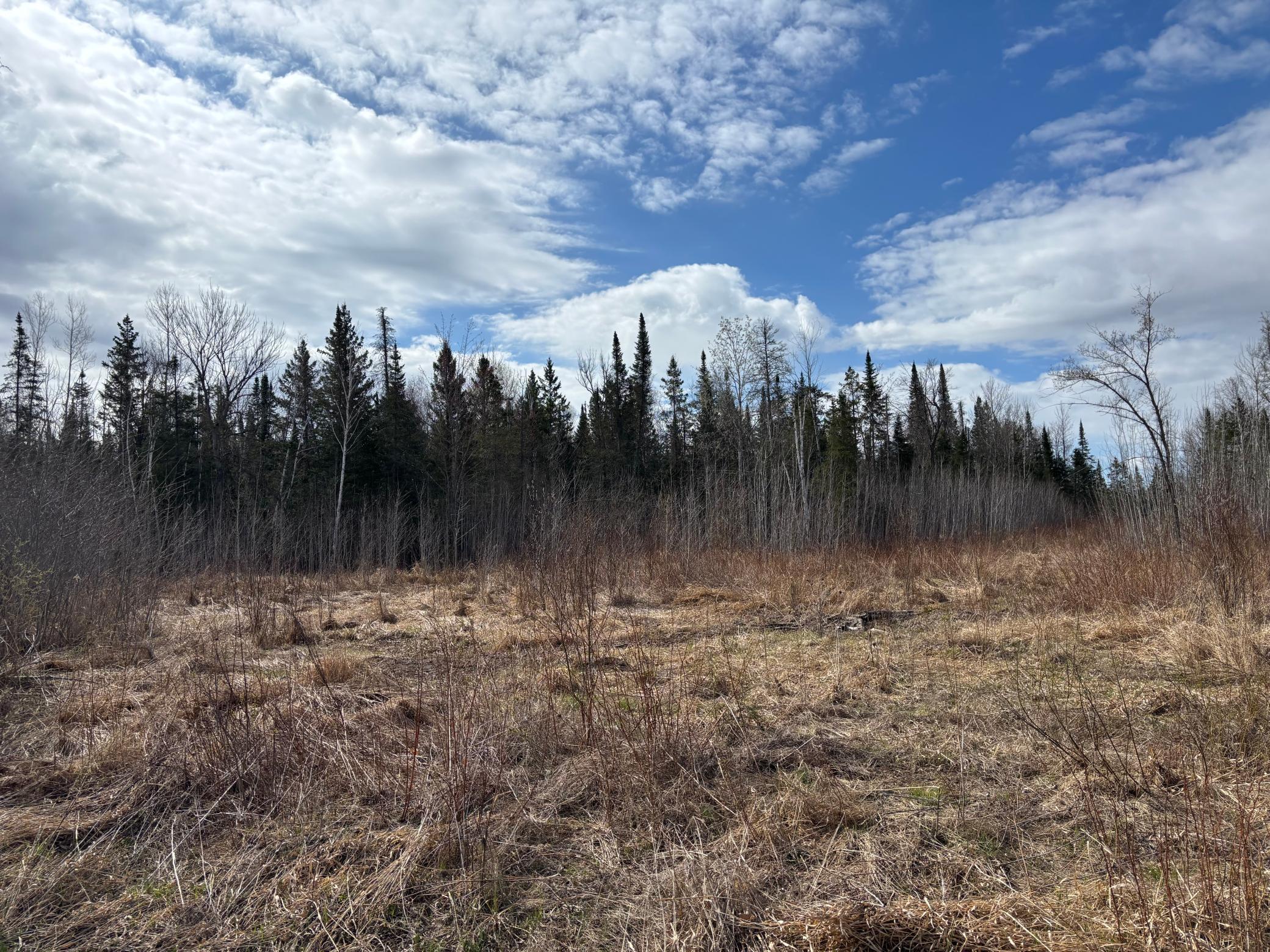 Another view of the clearing.