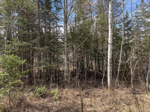 5358 E Four Corners Road, Cromwell, MN 55726