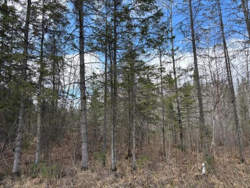 5358 E Four Corners Road, Cromwell, MN 55726