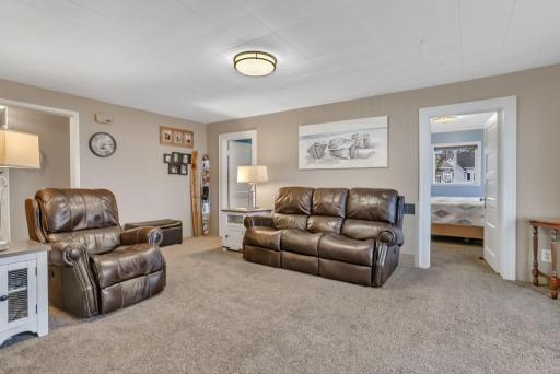 223 Lake Avenue S, Spicer, MN 56288