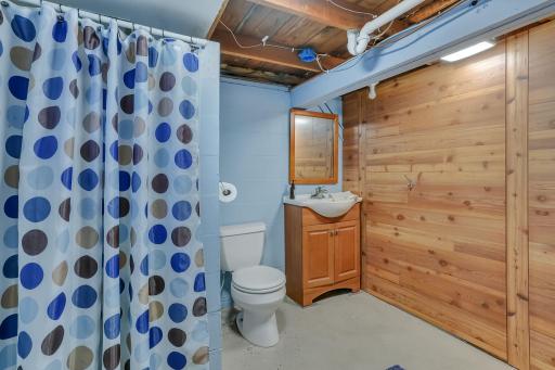 223 Lake Avenue S, Spicer, MN 56288