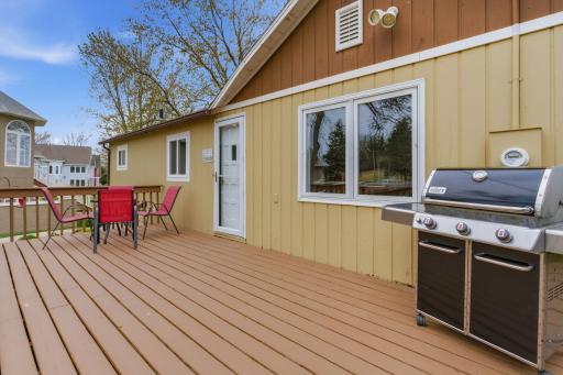 223 Lake Avenue S, Spicer, MN 56288