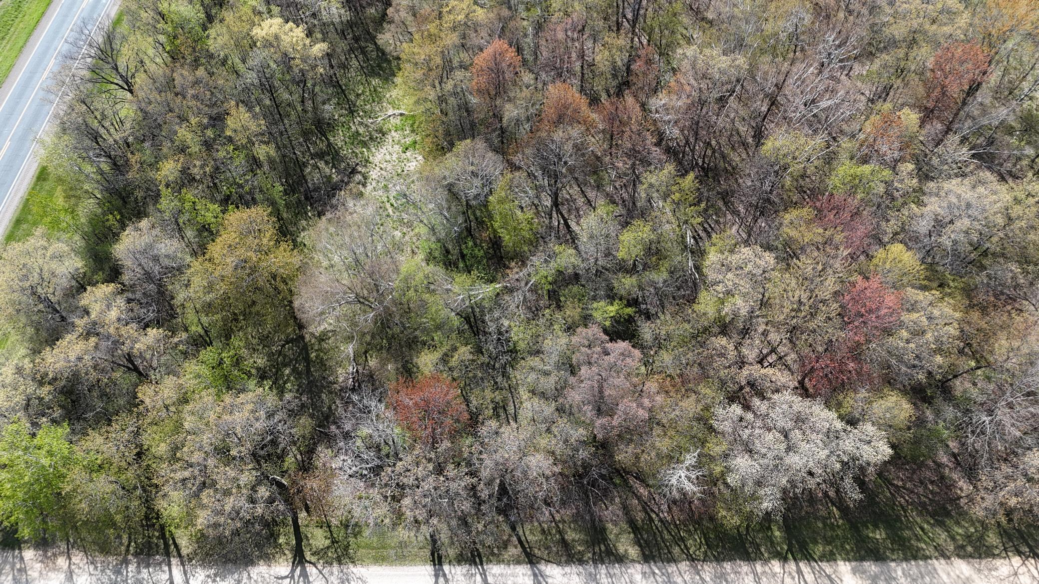 DJI_20260507160416_0135_D.JPG