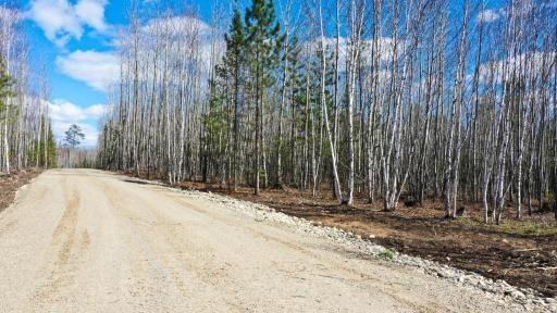 TBD Parcel I Frazer Bay Road, Cook, MN 55723
