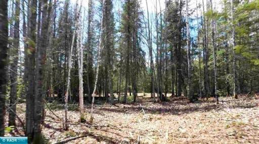 TBD Parcel I Frazer Bay Road, Cook, MN 55723
