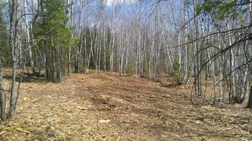 TBD Parcel I Frazer Bay Road, Cook, MN 55723