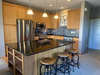 2429 121st Circle NE, L, Minneapolis, MN 55449
