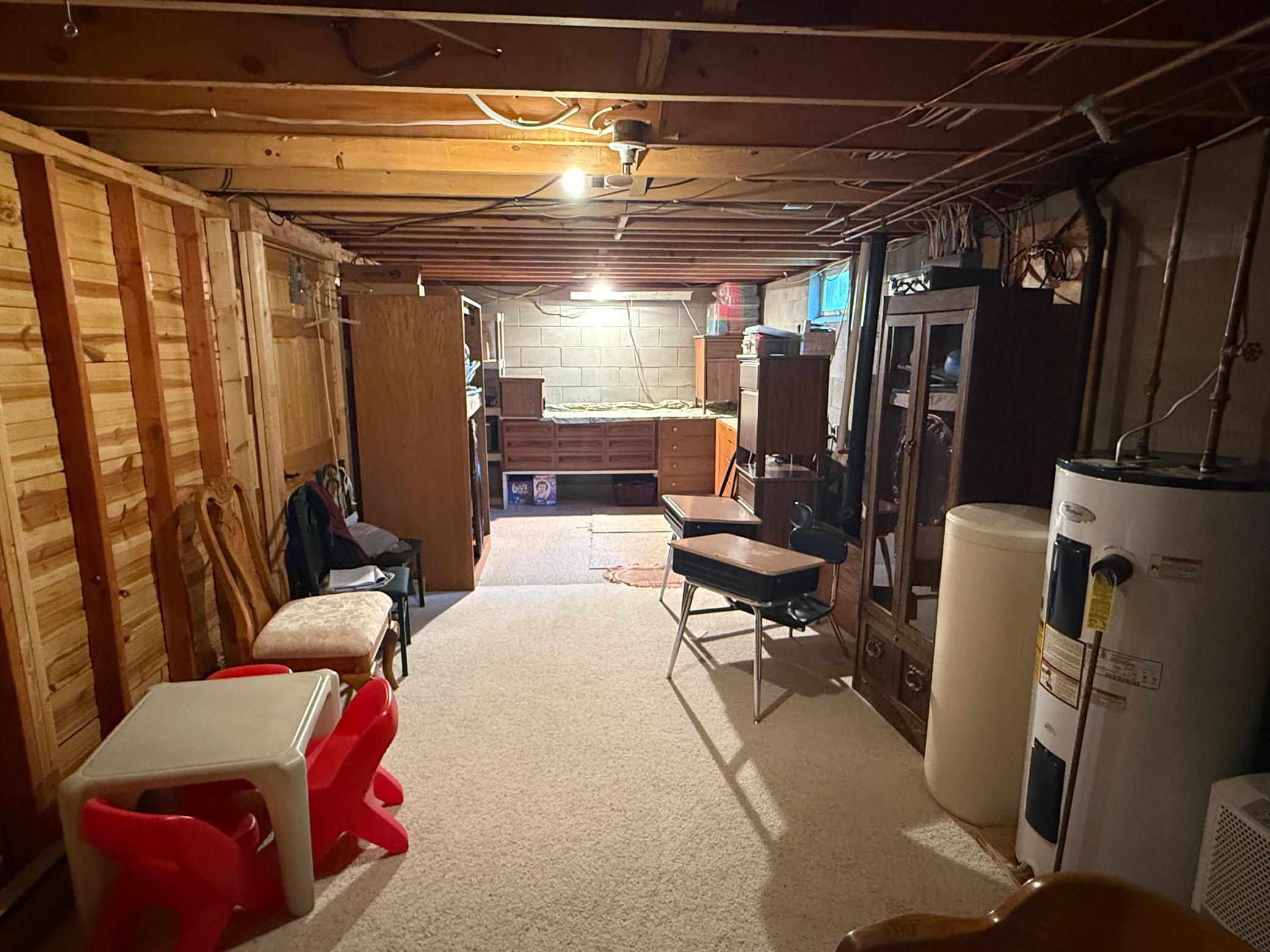 Basement/Utility/Work Area