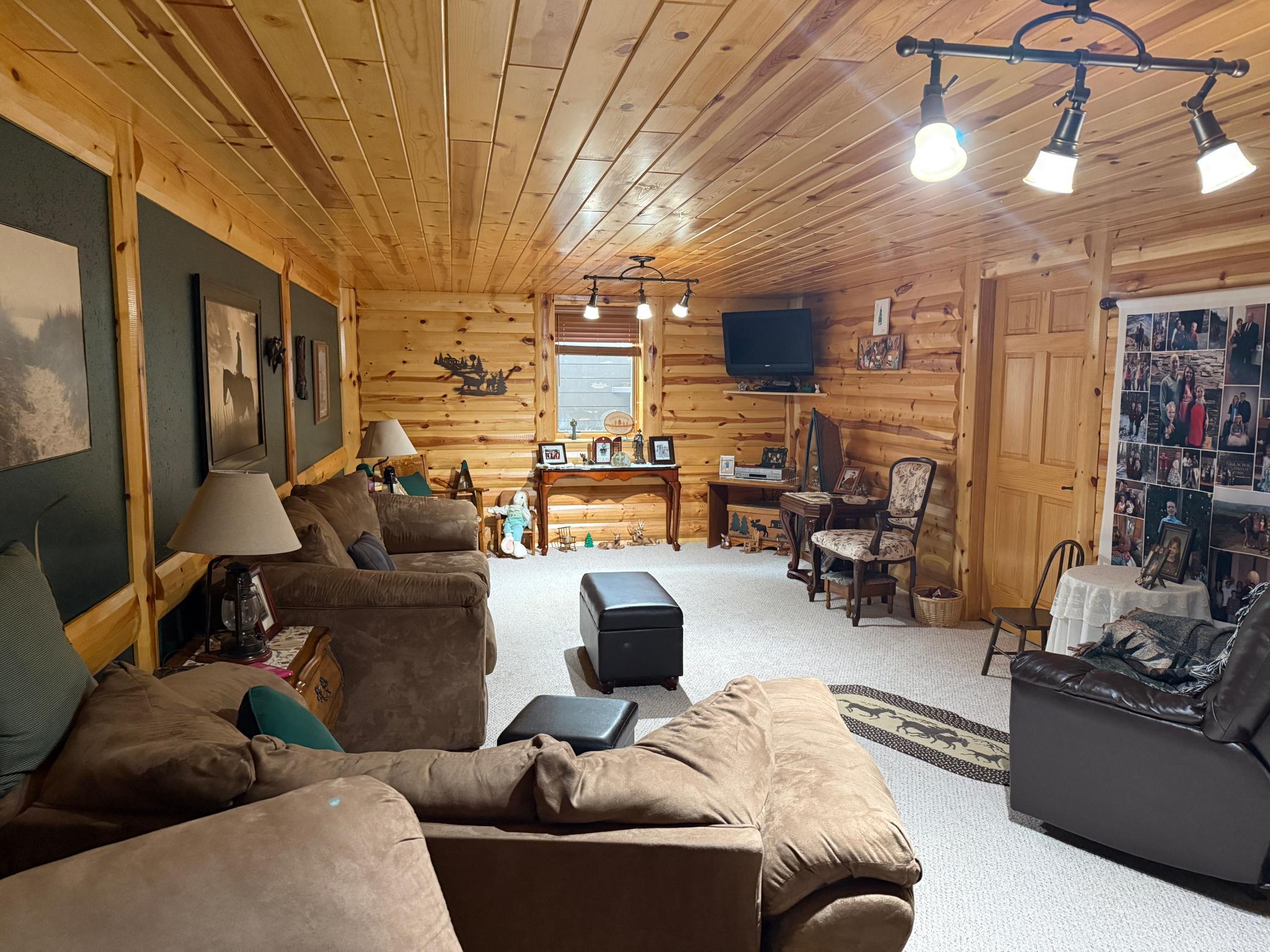 Basement Family Room