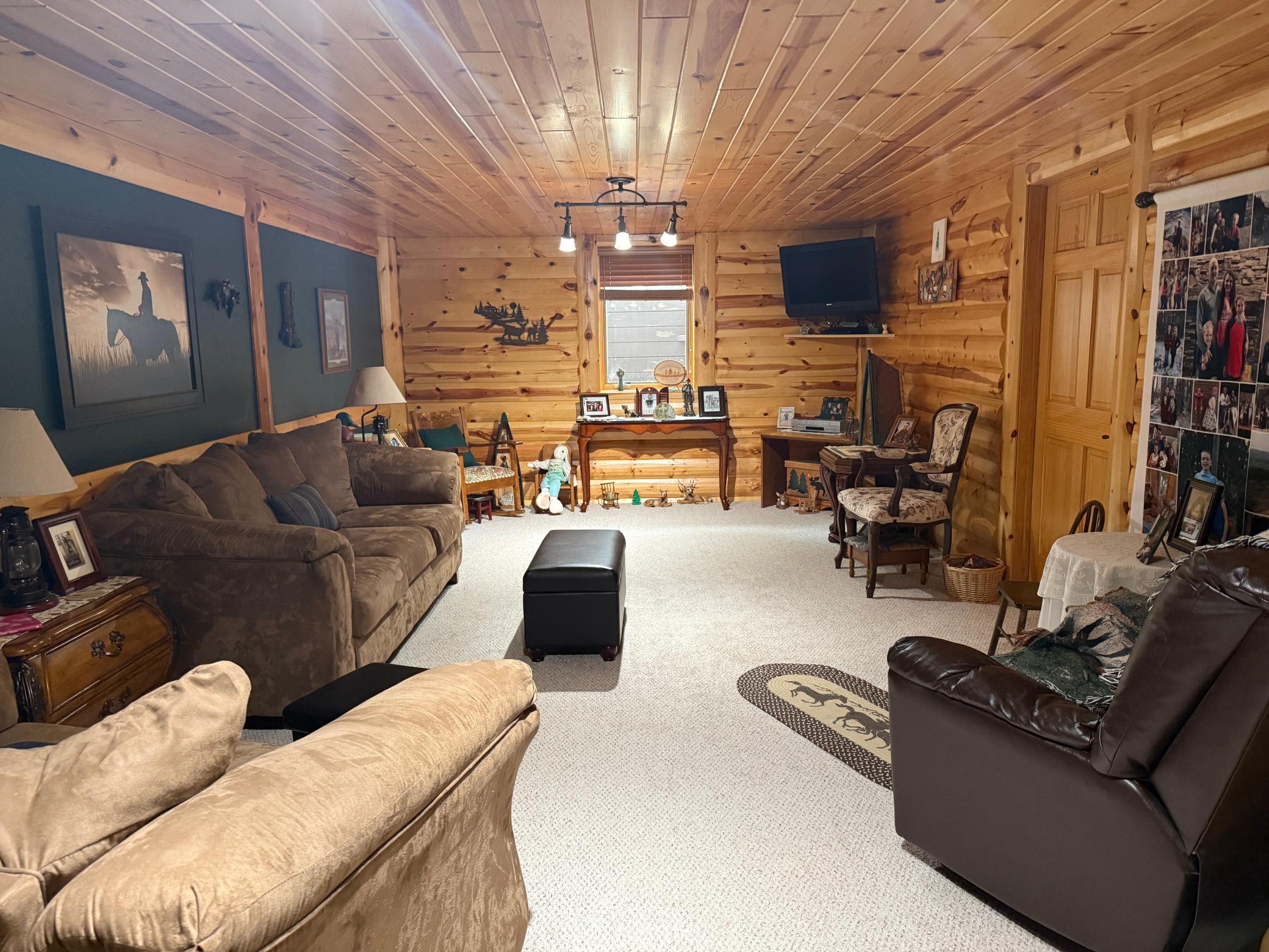 Basement Family Room