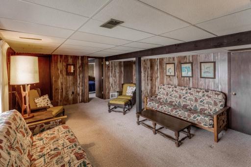 Lower-level rec Room. We use two futons for additional sleeping space.