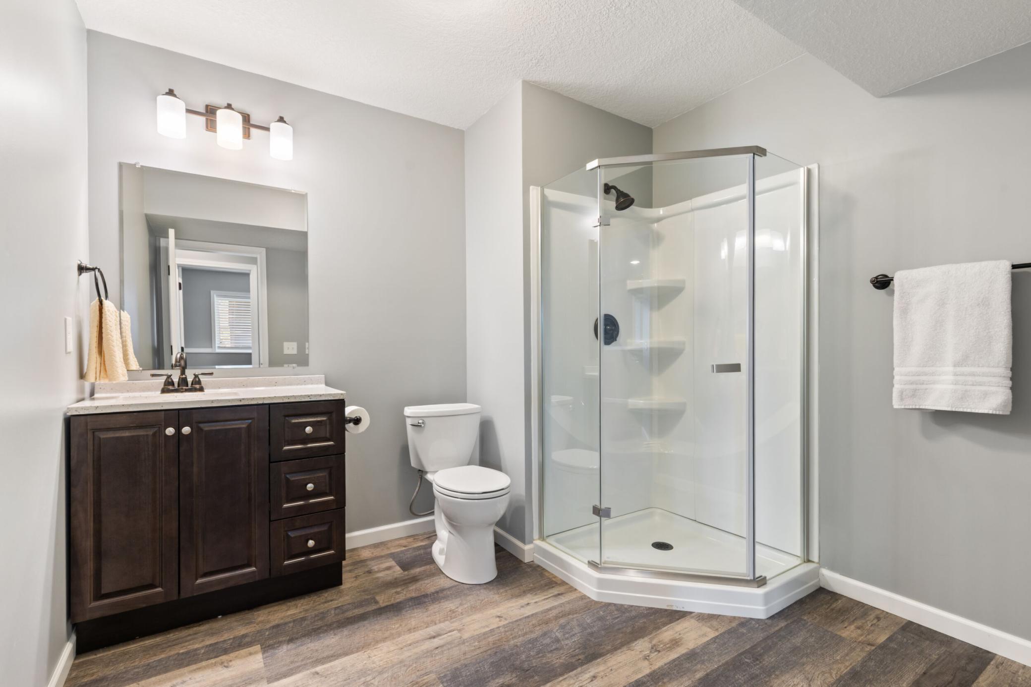 Lower level bathroom