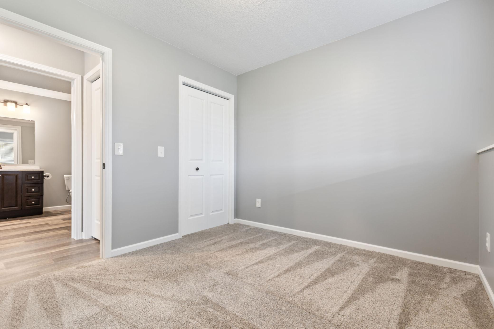 Lower level bedroom with walk in closet