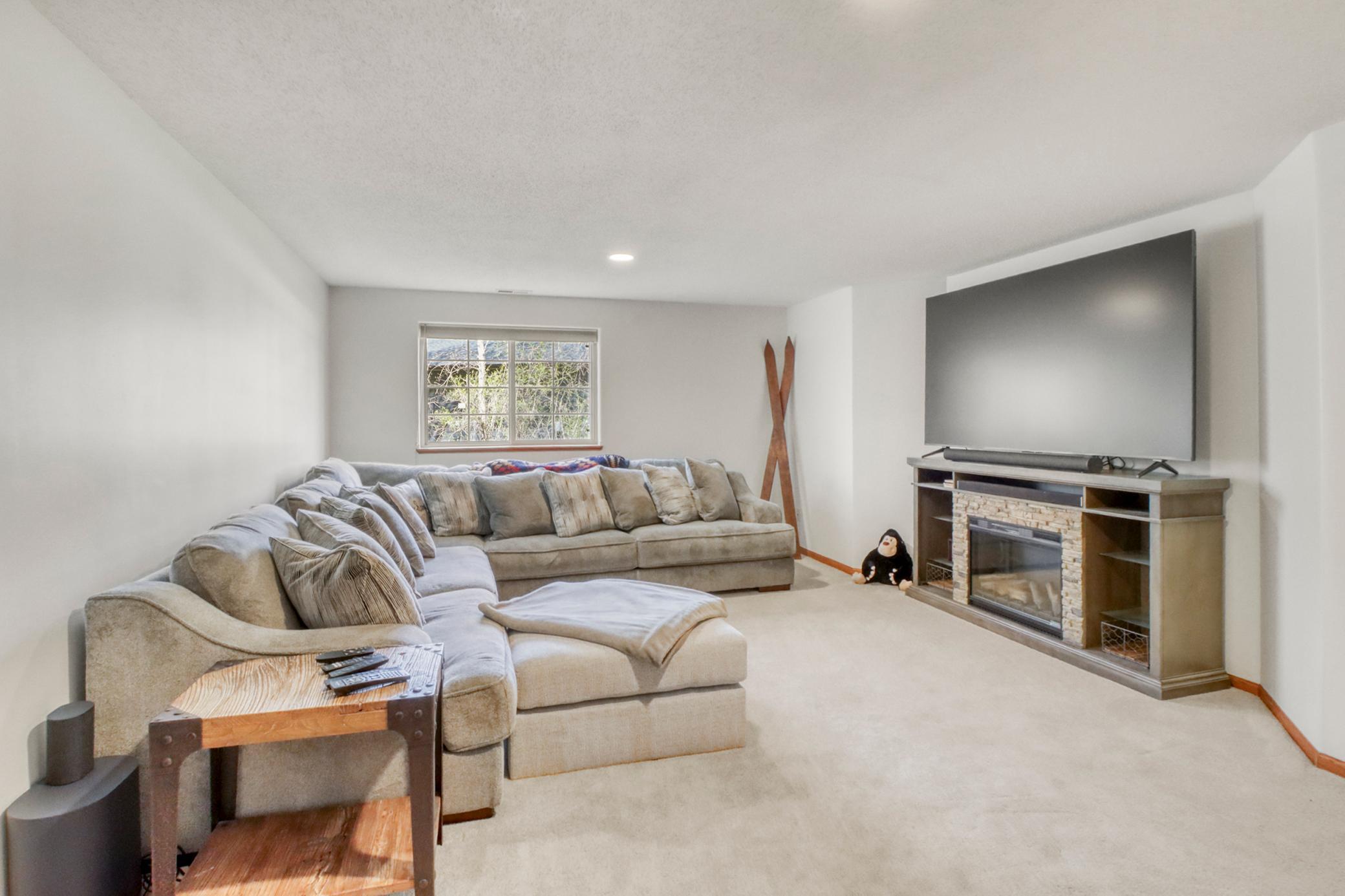 Lower Level Family Room 2