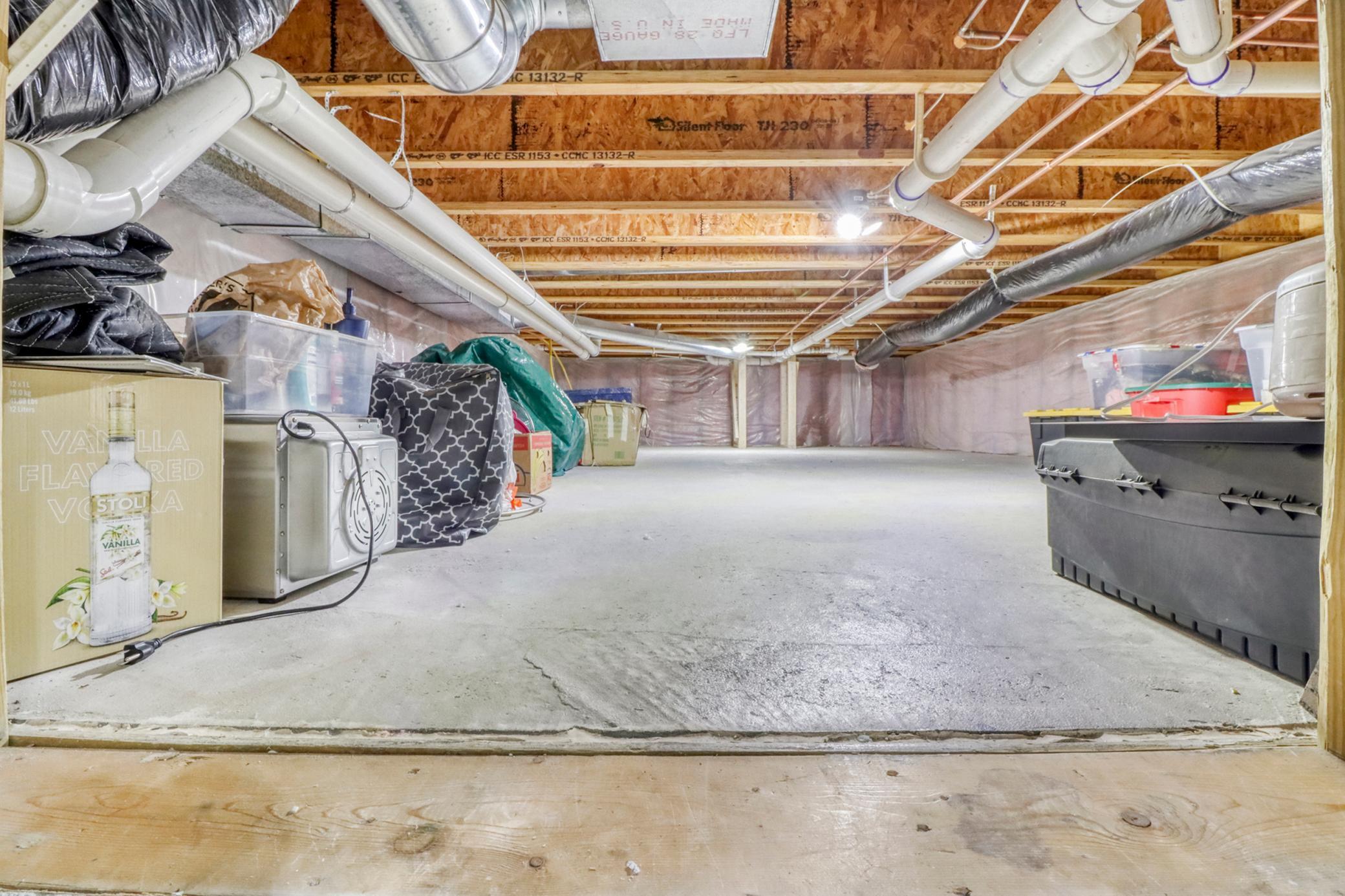 Basement Storage1_1.JPG