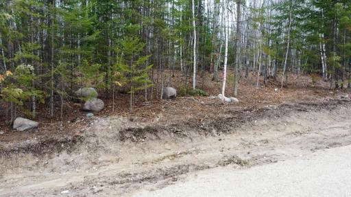 Parcel W TBD Frazer Bay Road, Cook, MN 55723