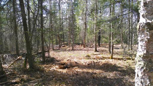 Parcel W TBD Frazer Bay Road, Cook, MN 55723