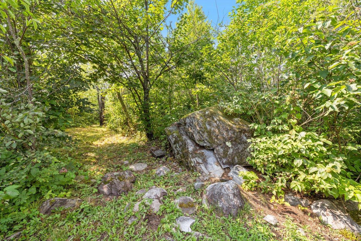 Exterior - Back trail.jpg