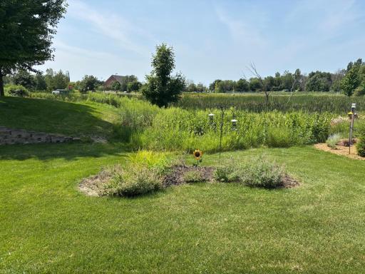 Personal butterfly garden