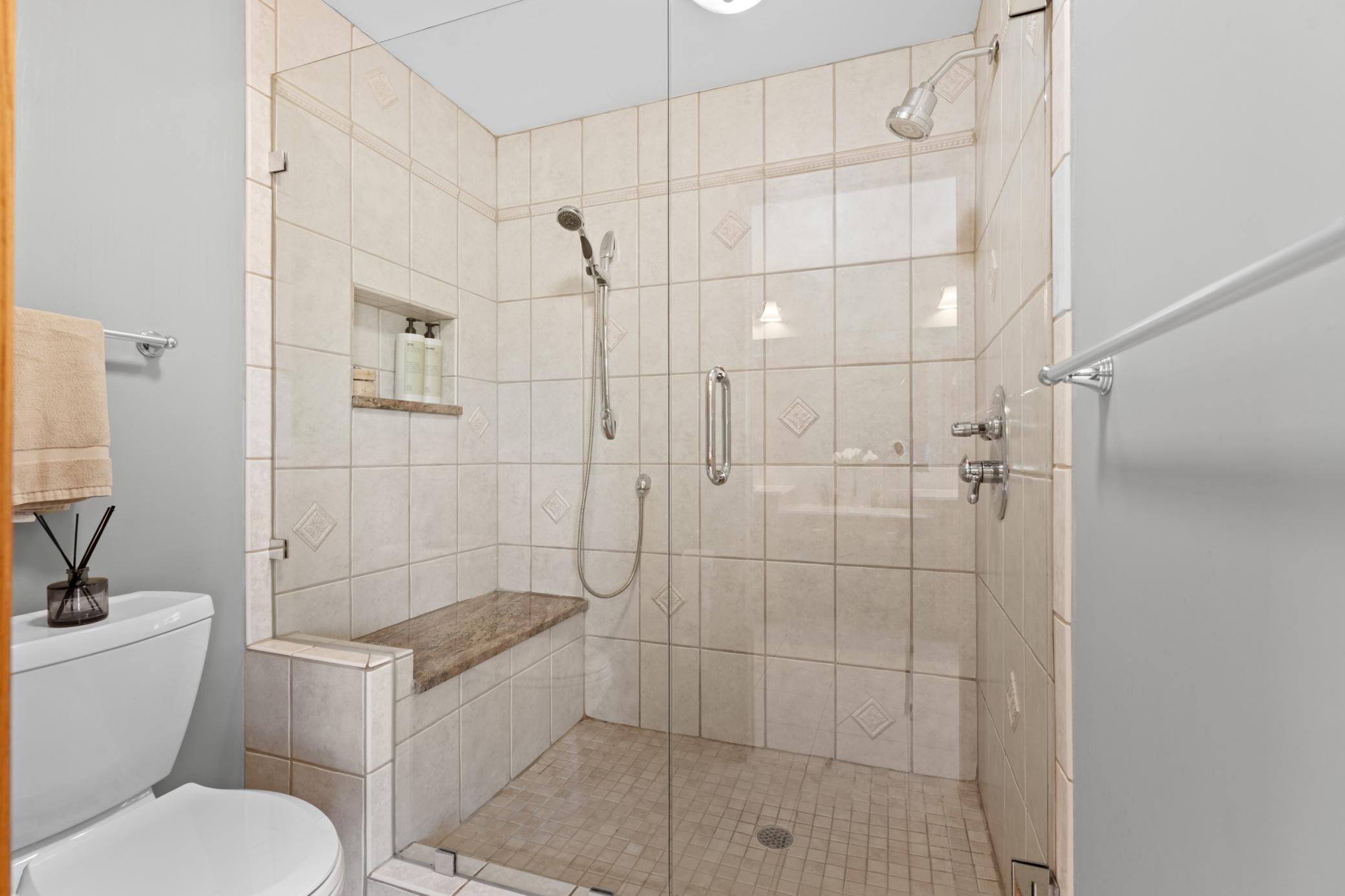 Primary Shower