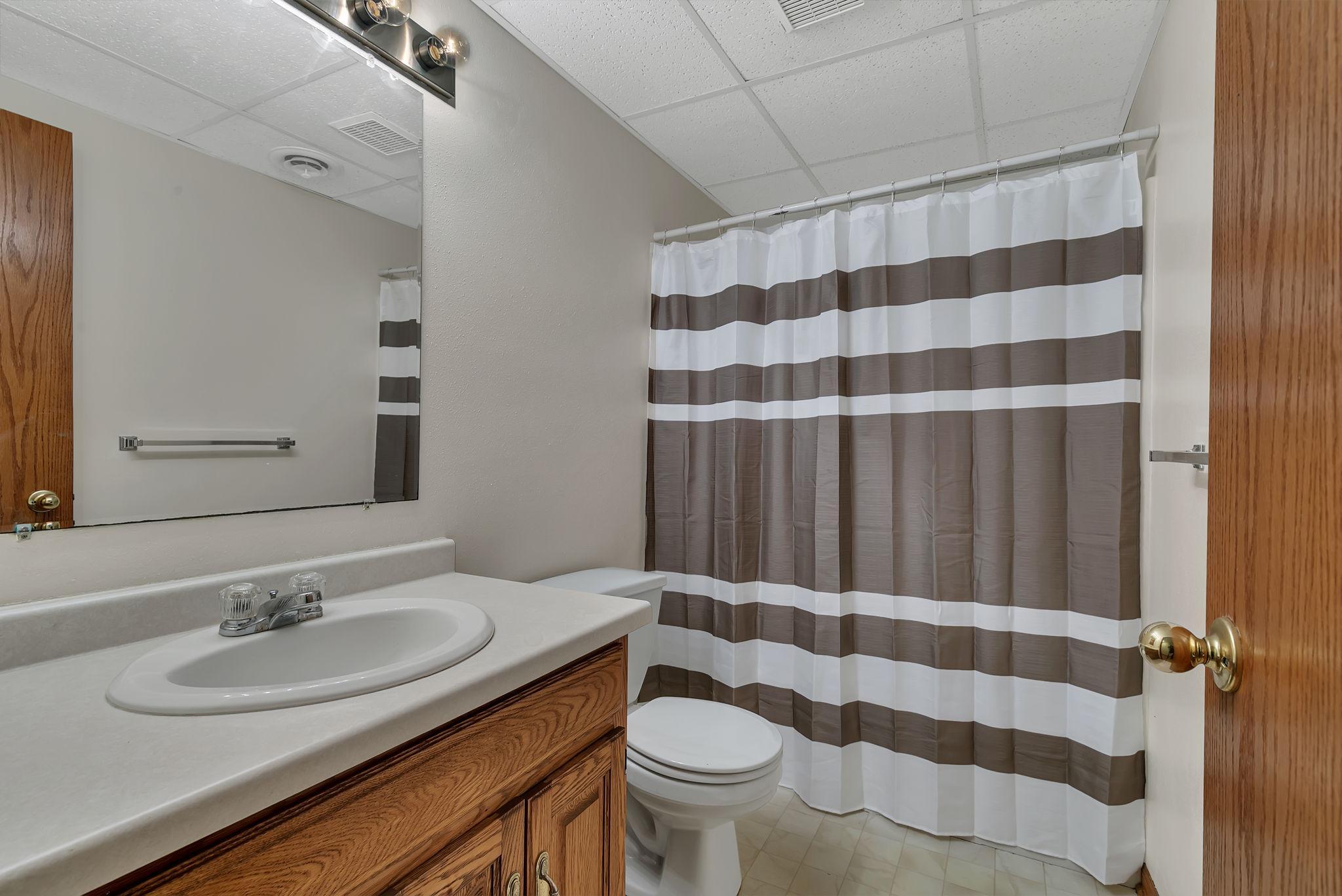 Lower level bathroom