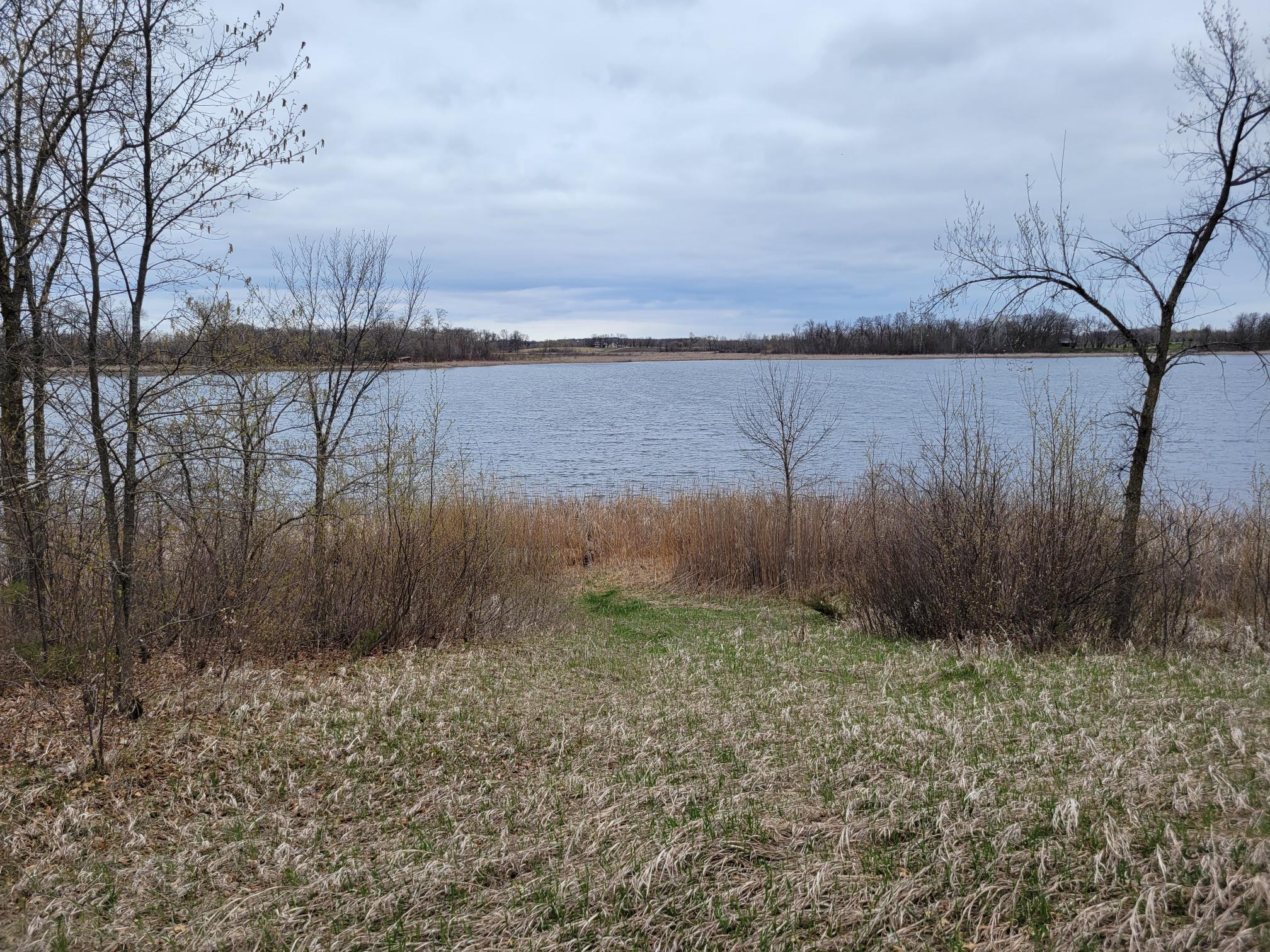 Lily Lake