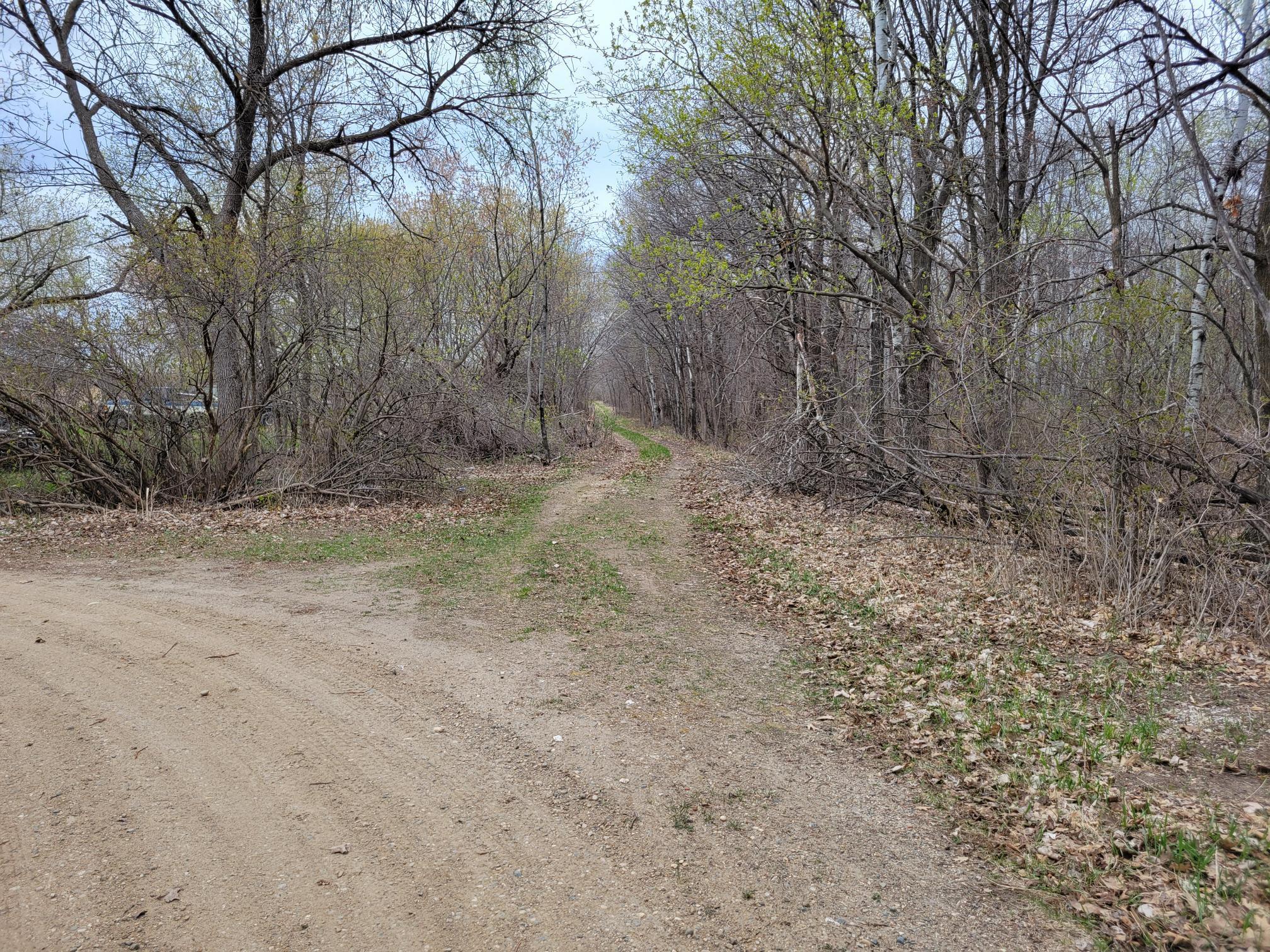 Road easement to property