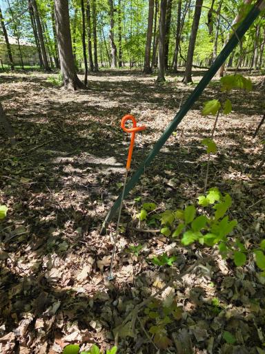 The four corners of the lot are staked with this. This will give you a rough idea of where the lot lines are they're not 100% accurate but they're close. There are two on park field and then there are two on the backside of the property