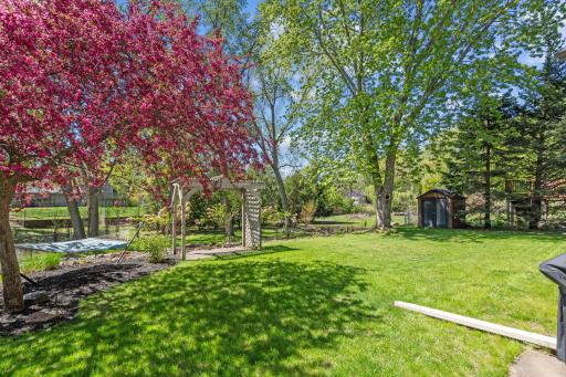 The stunning backyard! Relax in a hammock overlooking your yard or run around in the green space!