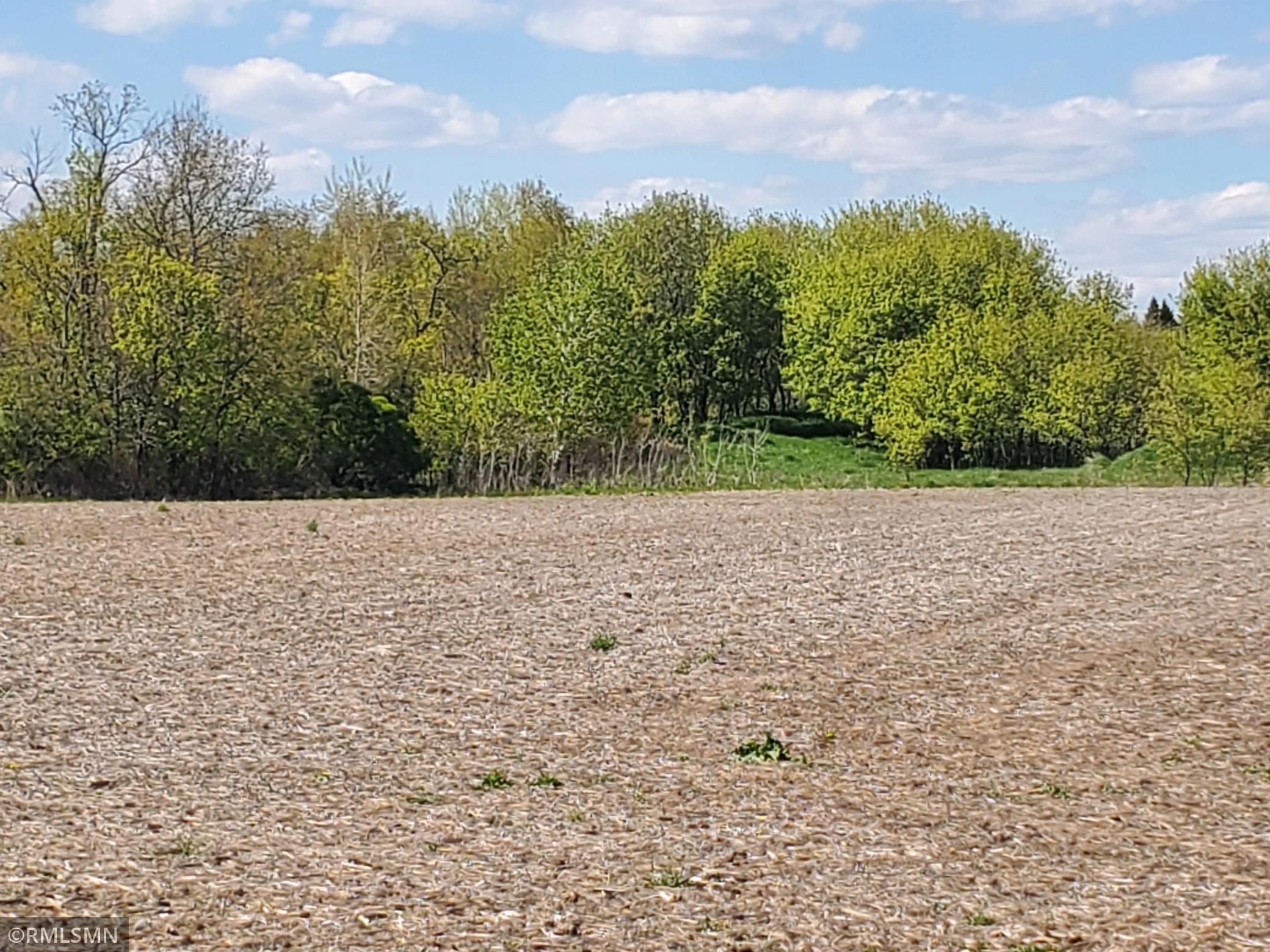 Lot 3.jpg