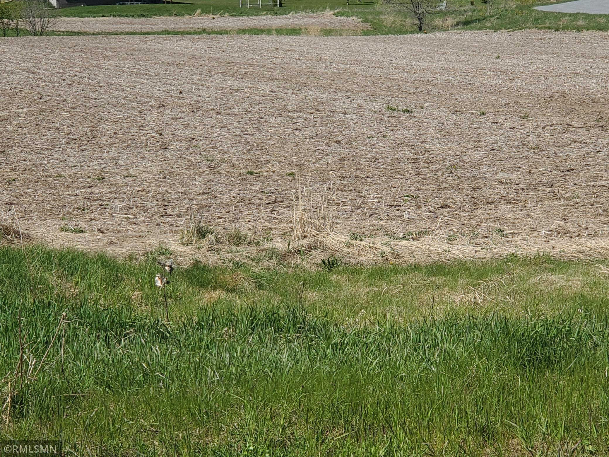 Lot 5.jpg