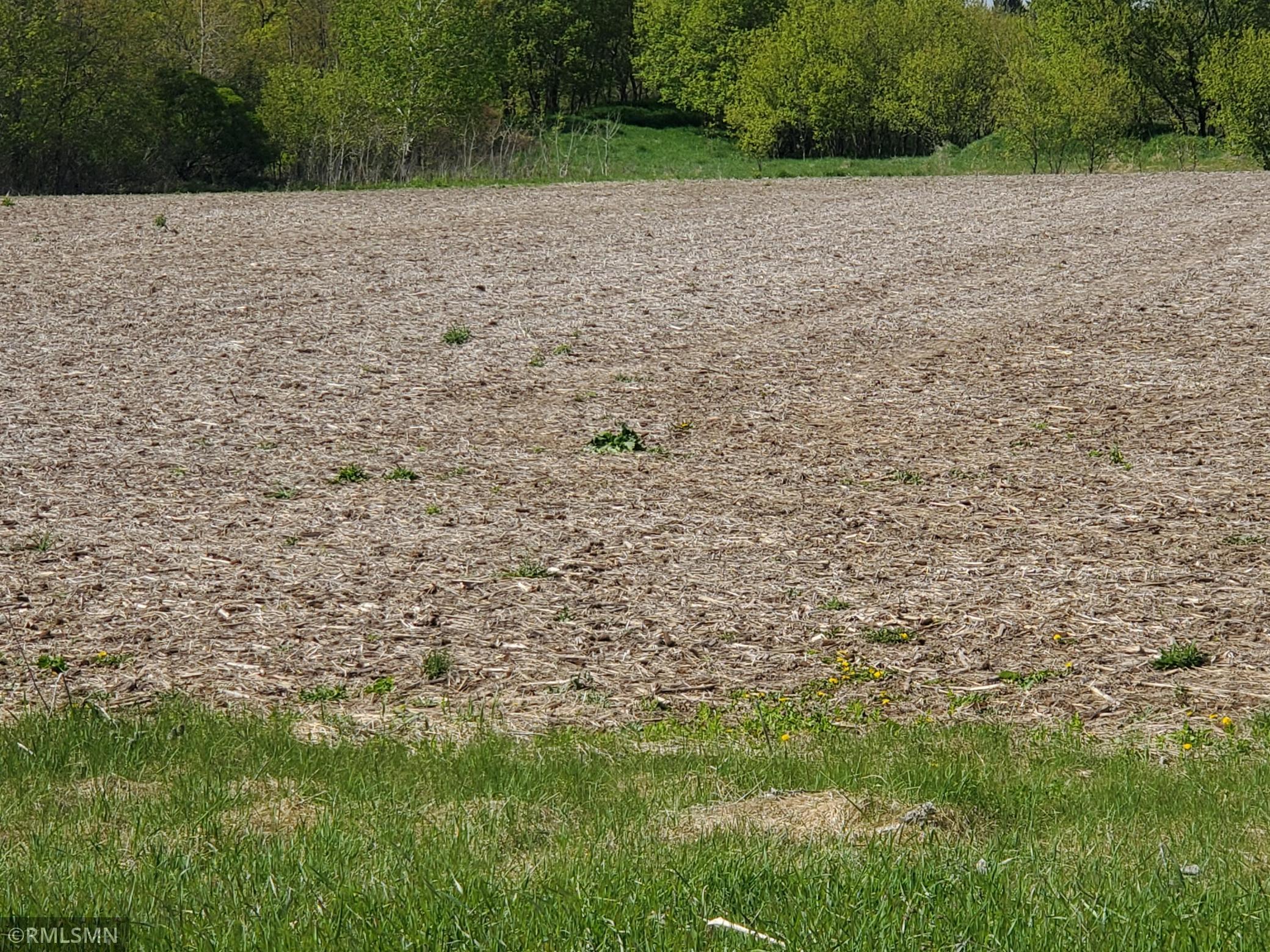 Lot 4.jpg