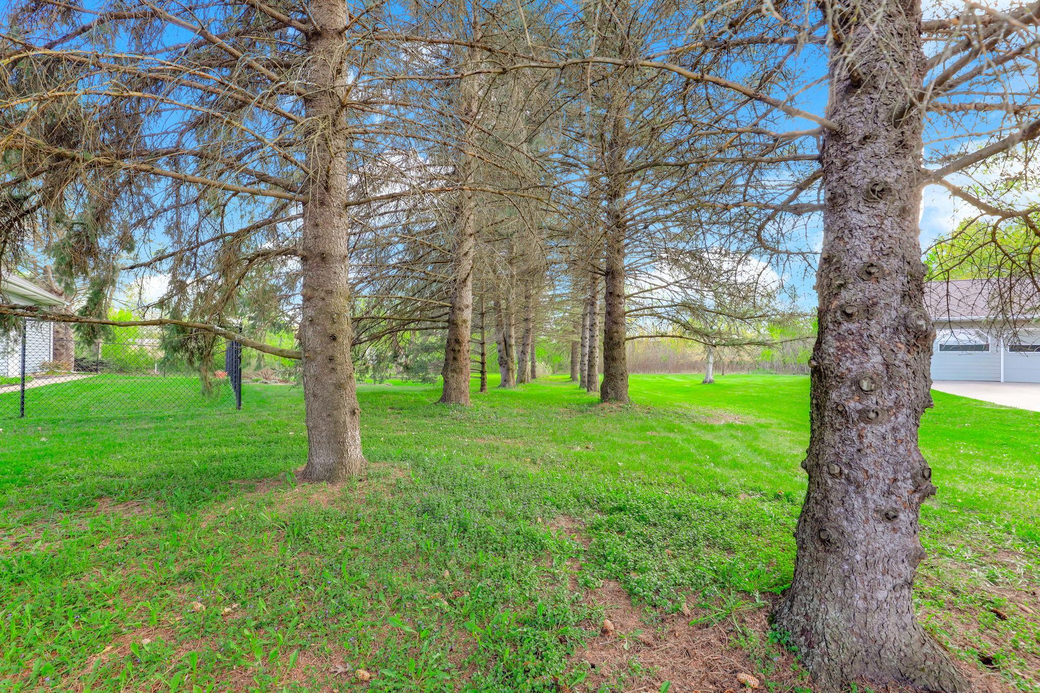 40-web-or-mls-12270-Europa-Ave-N-40.jpg