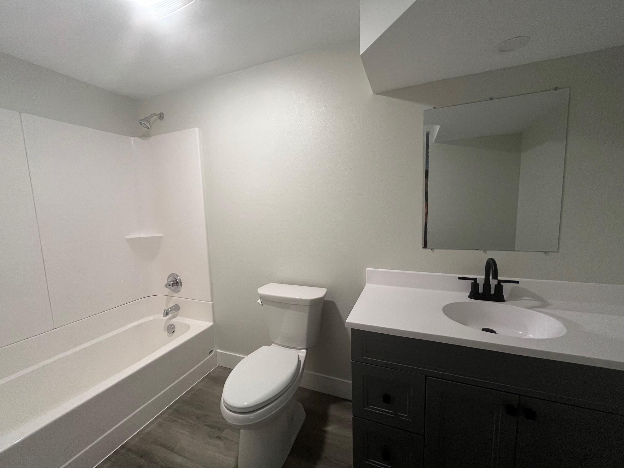 basement bath.jpg