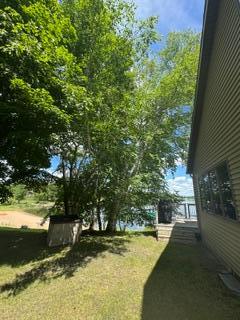 side yard