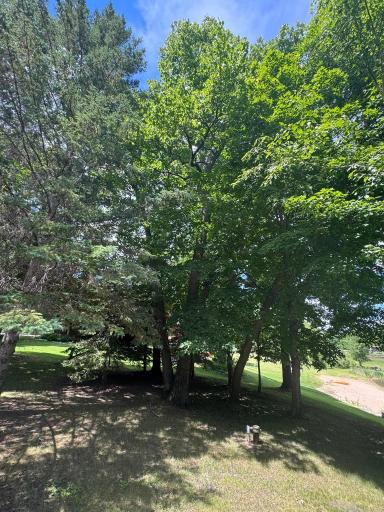 17428 Park Avenue SE, Erskine, MN 56535