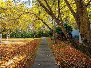 4819 Grenwich way N, front side walk pic.jpg