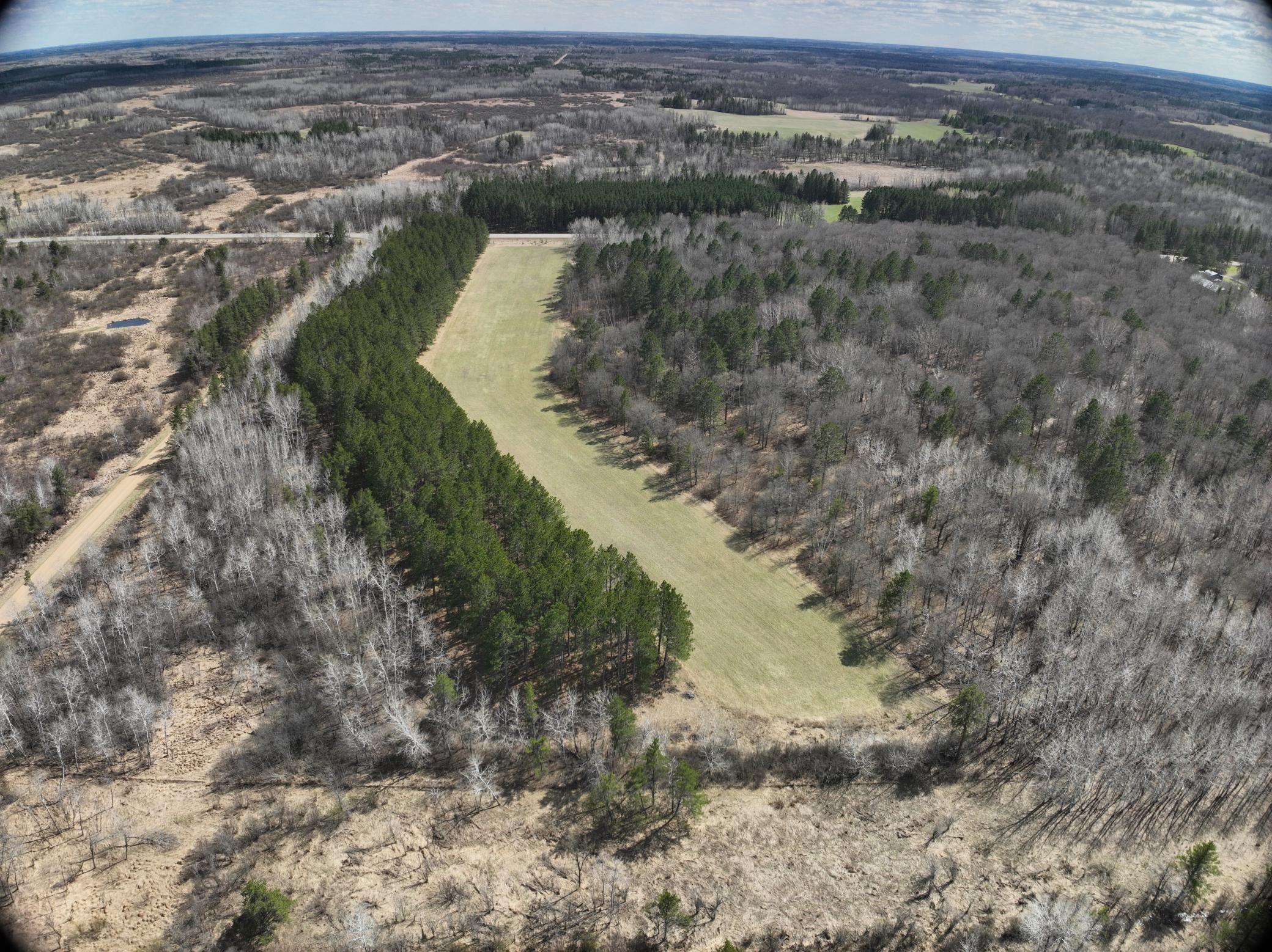 Aproximatley 4Ac Pines_5ac_field_remaining wooded.JPG