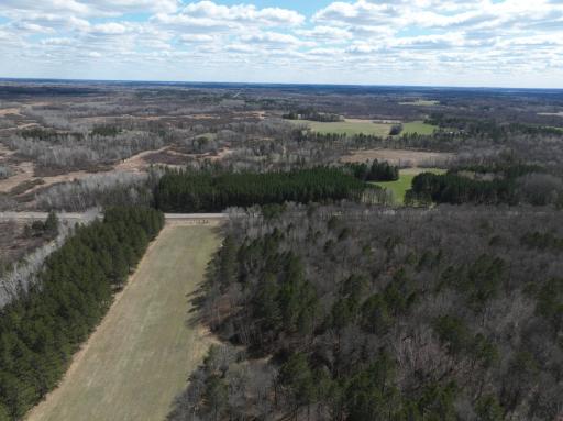 Approximately 20 Acres of Timber, Pine, and Open Meadow.JPG
