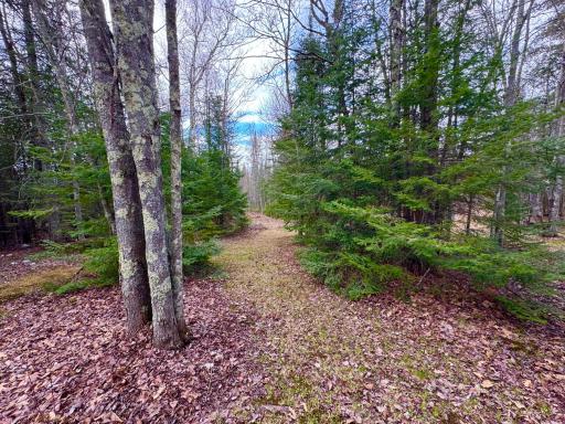 27135 Trout Lake Road, Bovey, MN 55709