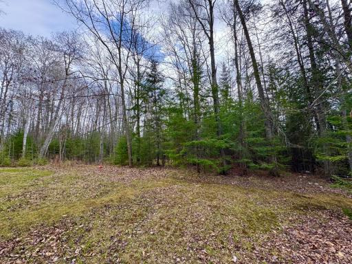 27135 Trout Lake Road, Bovey, MN 55709